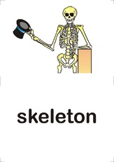 skeleton.pdf